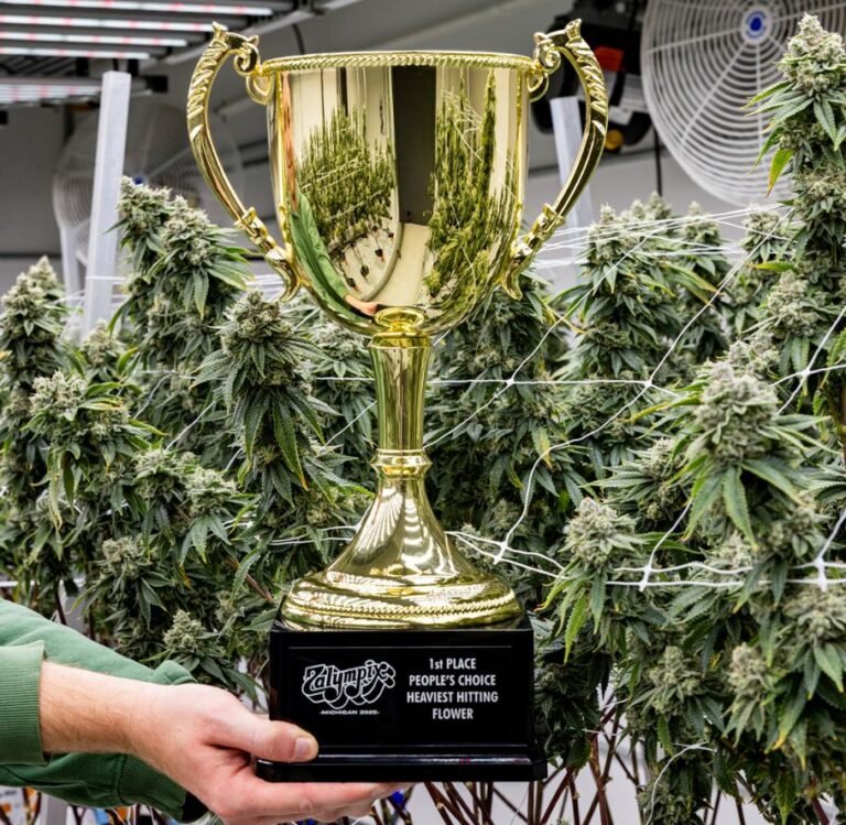 Gorilla Glue #4 Freshy Fine