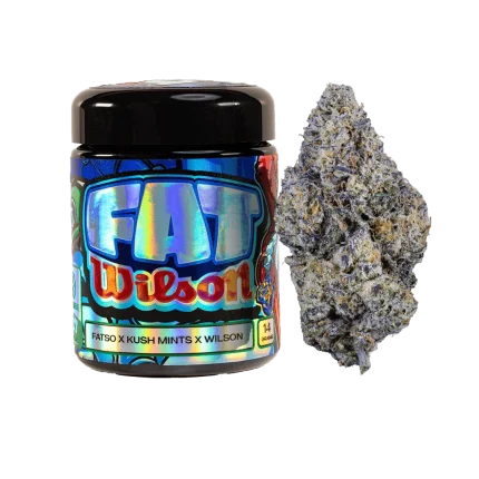 Freshy Fine Fat Wilson (Fatso x Kush Mints x Wilson) Flower Jar – 14g