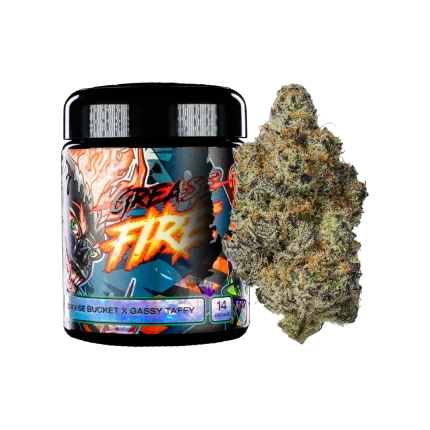 Freshy Fine Grease Fire (Grease Bucket x Gassy Taffy) Flower Jar – 14g