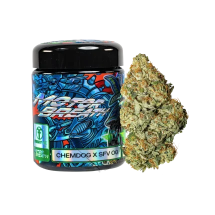 Freshy Fine Motorbreath (Chemdog x SFV OG Kush) Flower Jar – 14g