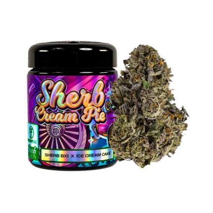 Freshy Fine Sherb Cream Pie (Sherb BX1 x Ice Cream) Flower Jar – 14g