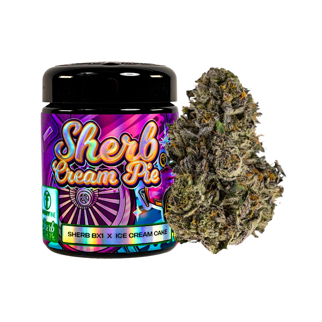 Freshy Fine Sherb Cream Pie (Sherb BX1 x Ice Cream) Flower Jar – 14g Freshy Fine Sherb Cream Pie (Sherb BX1 x Ice Cream) Flower Jar – 14g