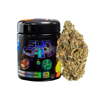 Freshy Fine Sun Cake (Sunset Sherbet x Wedding Cake) Flower Jar – 14g